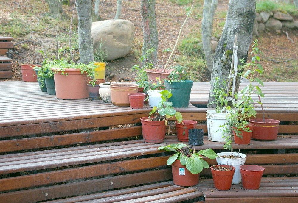 Familia Piatti B&B - Suites Ushuaia Eksteriør bilde