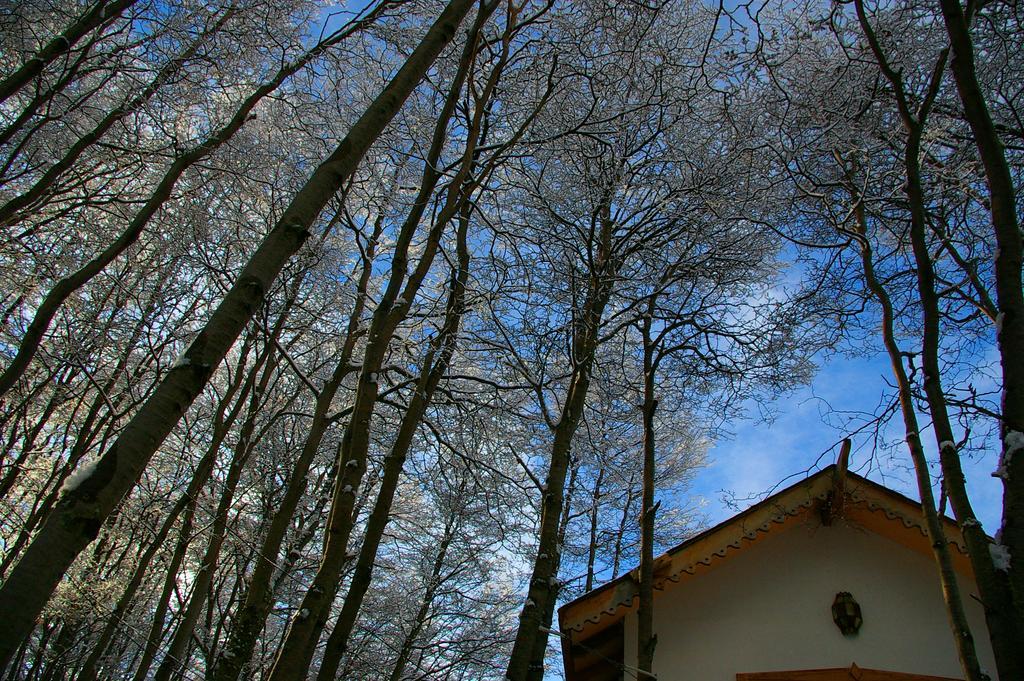 Familia Piatti B&B - Suites Ushuaia Eksteriør bilde