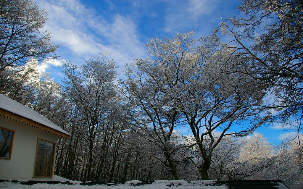 Familia Piatti B&B - Suites Ushuaia Eksteriør bilde
